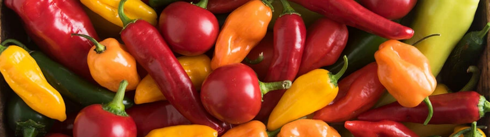 How to Make Portuguese Hot Red Pepper Paste with Fabio Leonardi Grinder