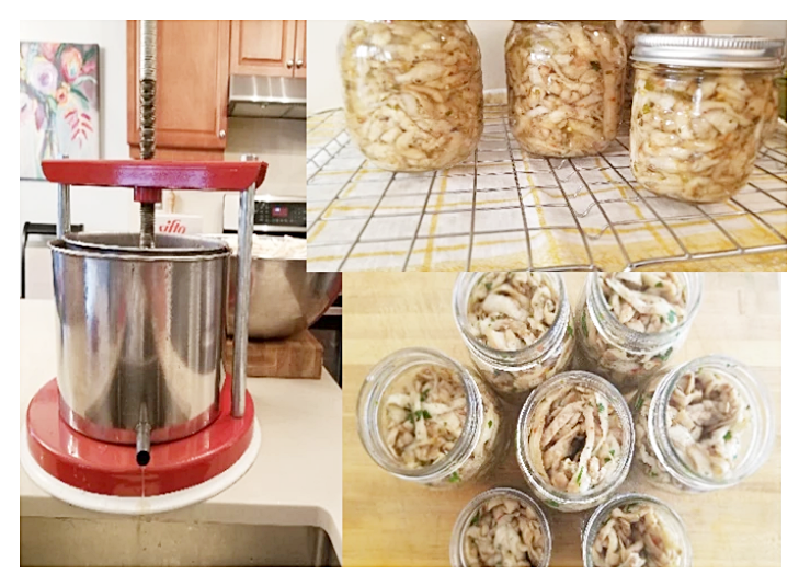 Jarred Pickled Italian Eggplants