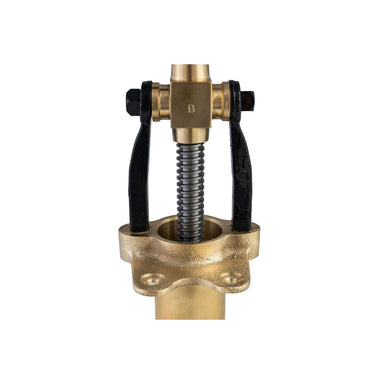 Bottene Bigolaro Premium Hand Pasta Extruder with Rigatoni and Spaghetti 2.5 mm Brass Dies Made in Italy USA Brass

