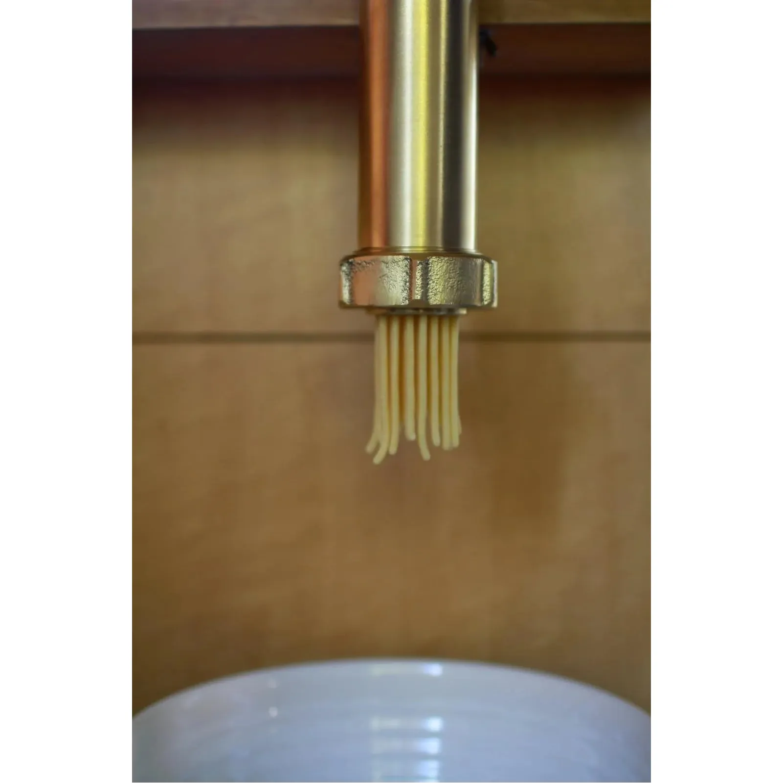 Bottene Bigolaro Premium Hand Pasta Extruder with Rigatoni and Spaghetti 2.5 mm Brass Dies Made in Italy Extruder USA