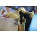 Bottene Bigolaro Premium Hand Pasta Extruder with Rigatoni and Spaghetti 2.5 mm Brass Dies Made in Italy Pasta Dough